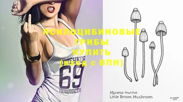 молекула духа Алзамай