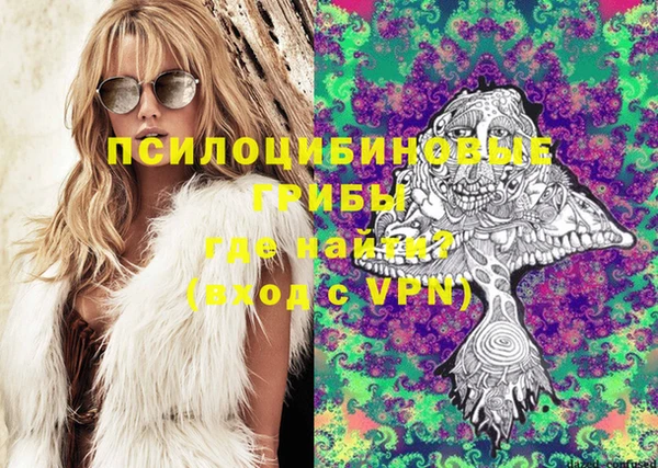 молекула духа Алзамай