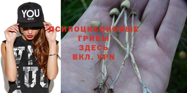 молекула духа Алзамай