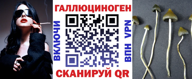 где можно купить Грайворон Псилоцибиновые грибы MAGIC MUSHROOMS